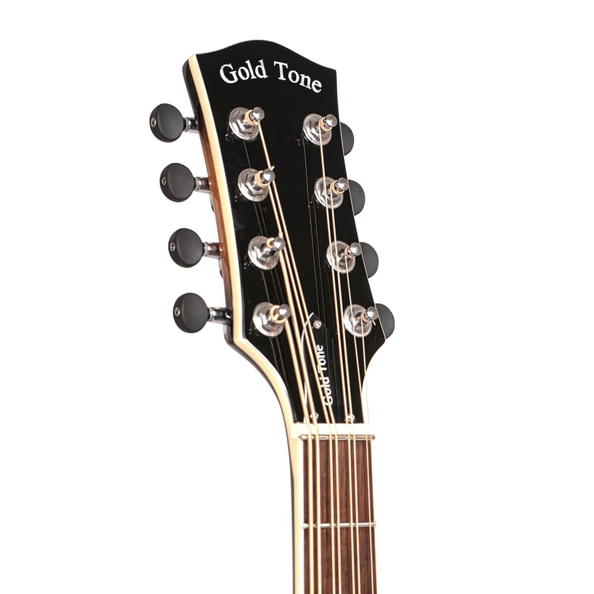 Mandocello with Pickup and Case E5280