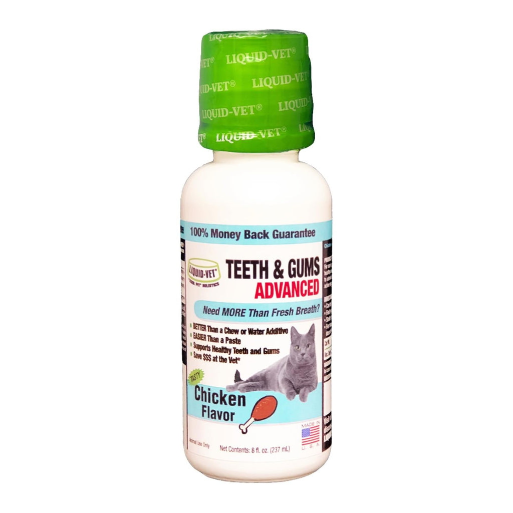 Cat Teeth Cleaning Dental Care N5652