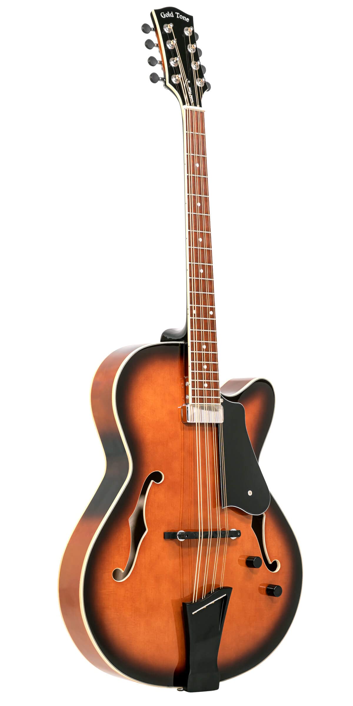 Mandocello with Pickup and Case E5280