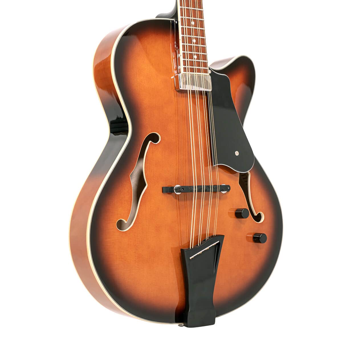 Mandocello with Pickup and Case E5280