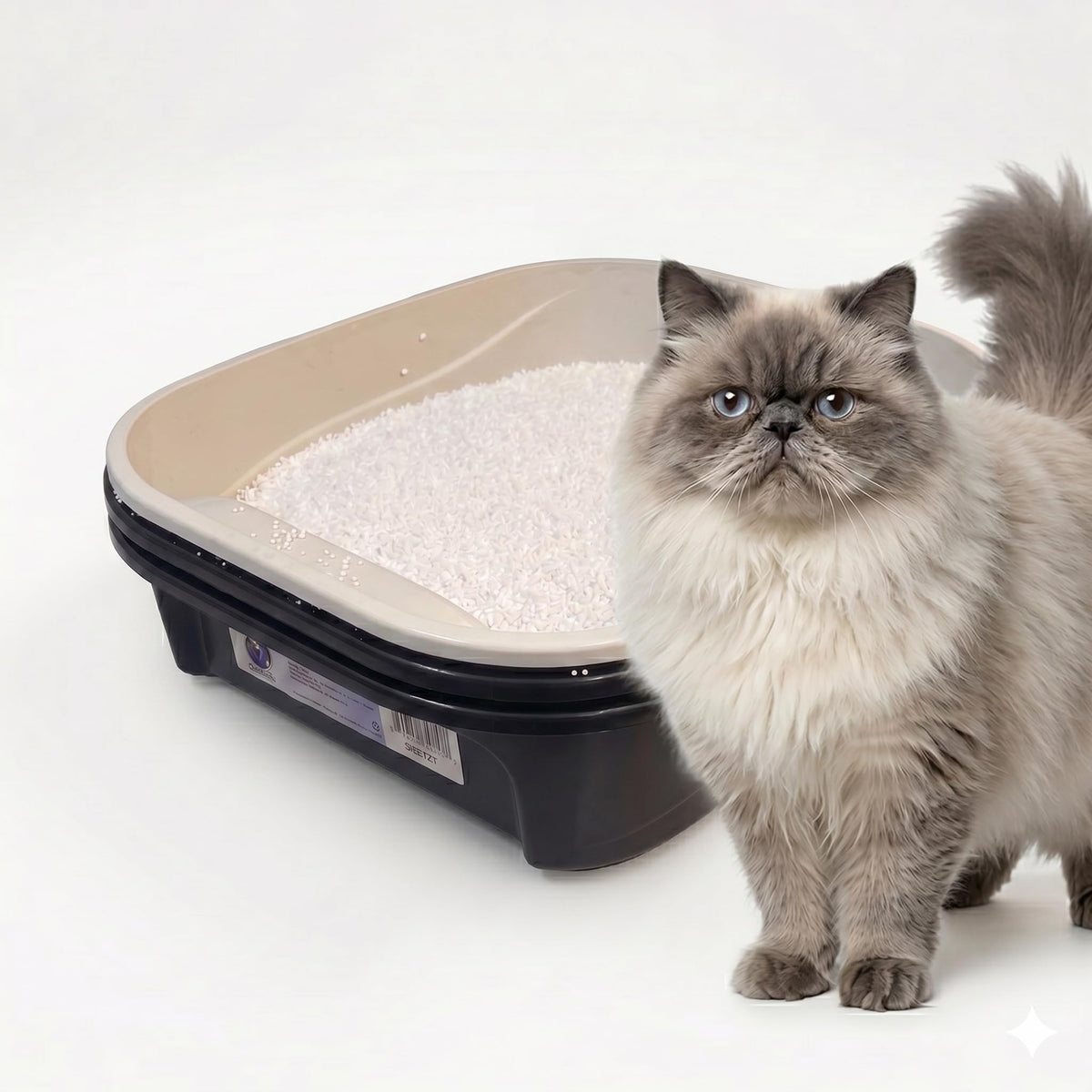 Black Sifting Cat Litter Box Y514