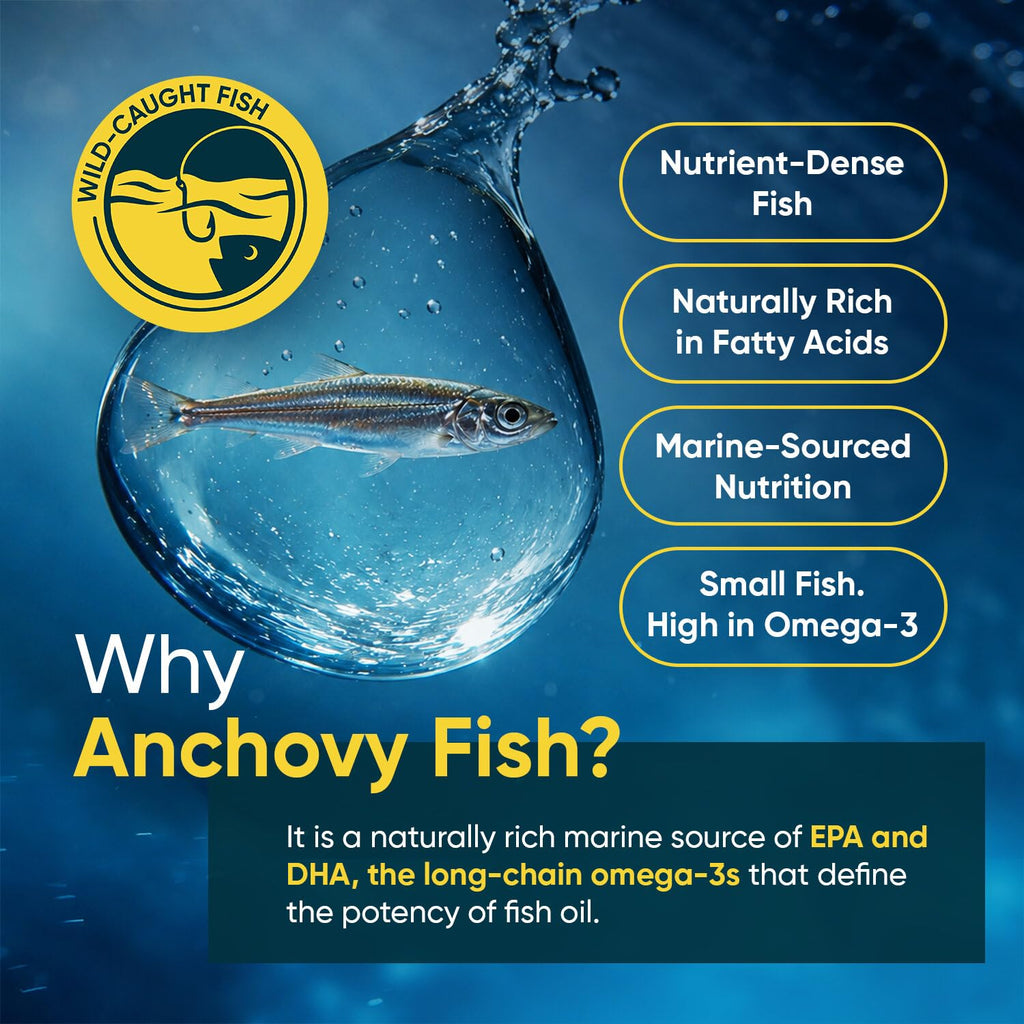 Omega 3 Fish Oil 3000mg 240 Softgels W16122