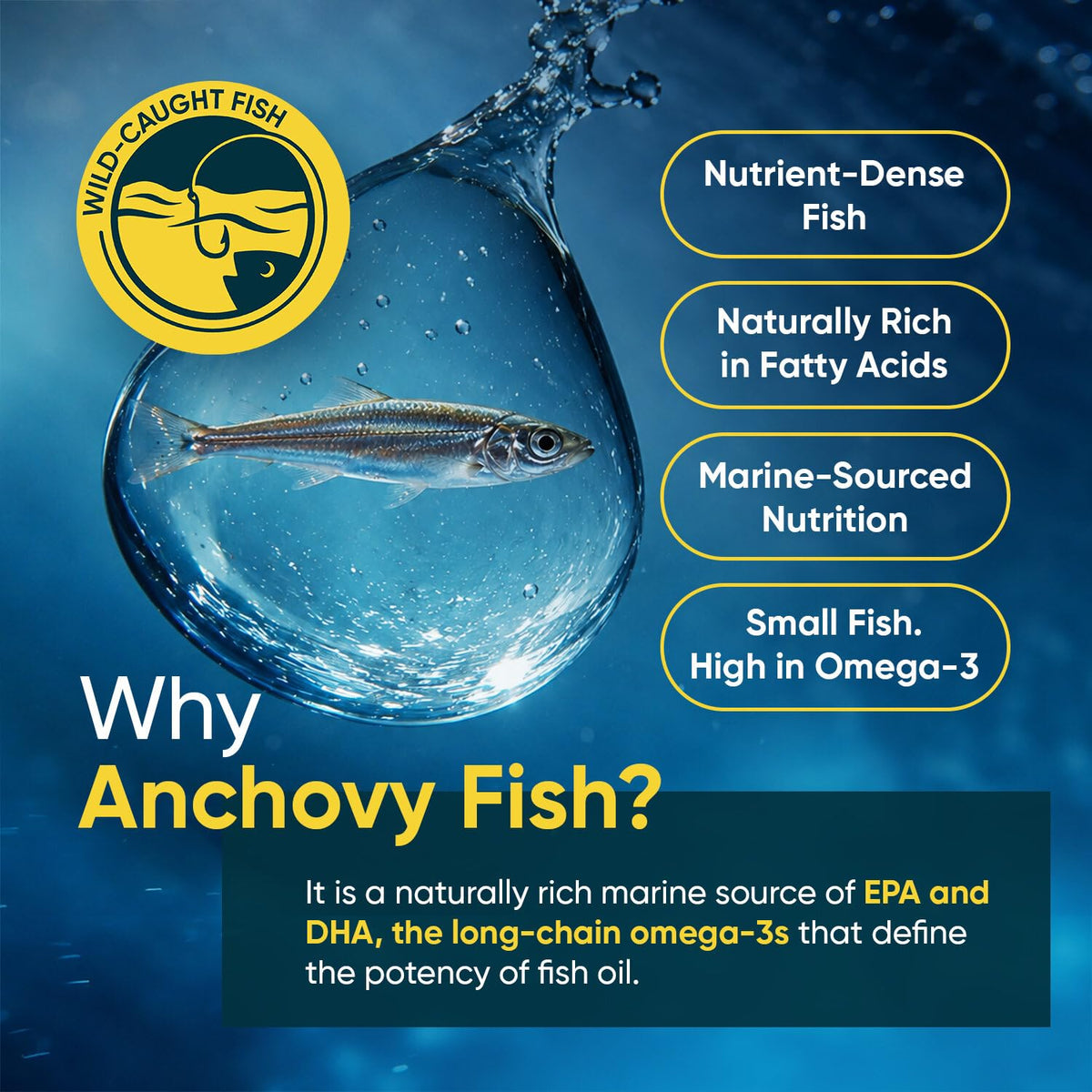 Omega 3 Fish Oil 3000mg 240 Softgels W16122