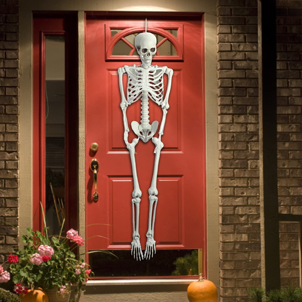Life Size Poseable Skeleton J404
