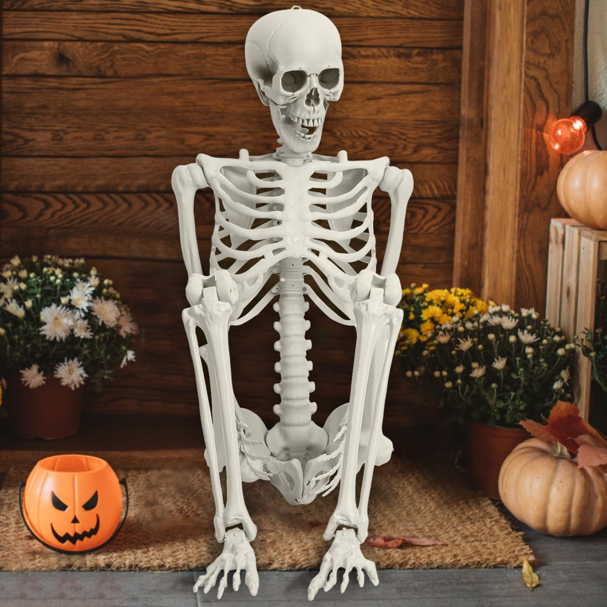 Life Size Poseable Skeleton J404