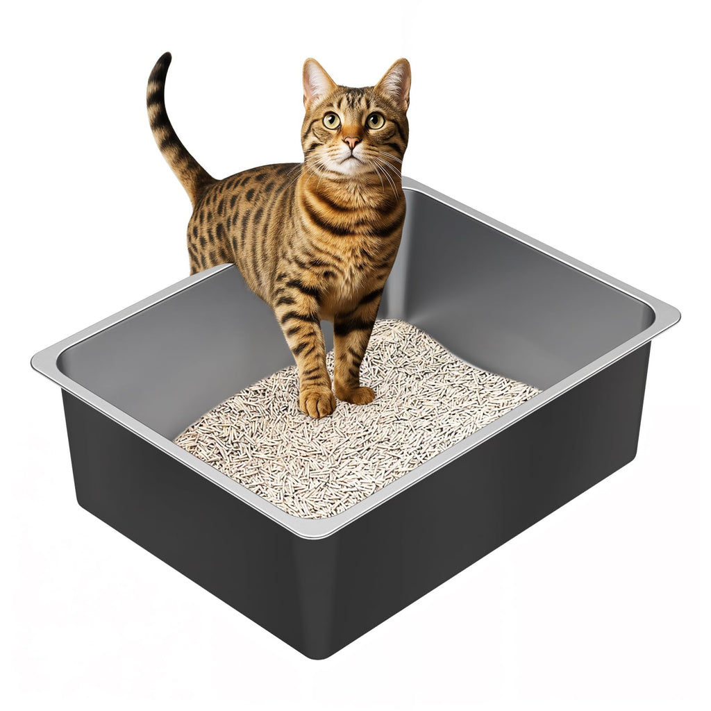 High Sided Stainless Steel Cat Litter Box M44520