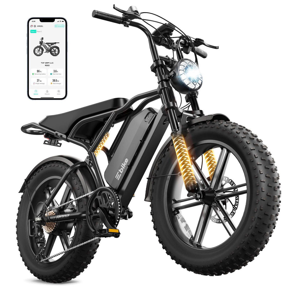 Electric Bike for Adults M74729