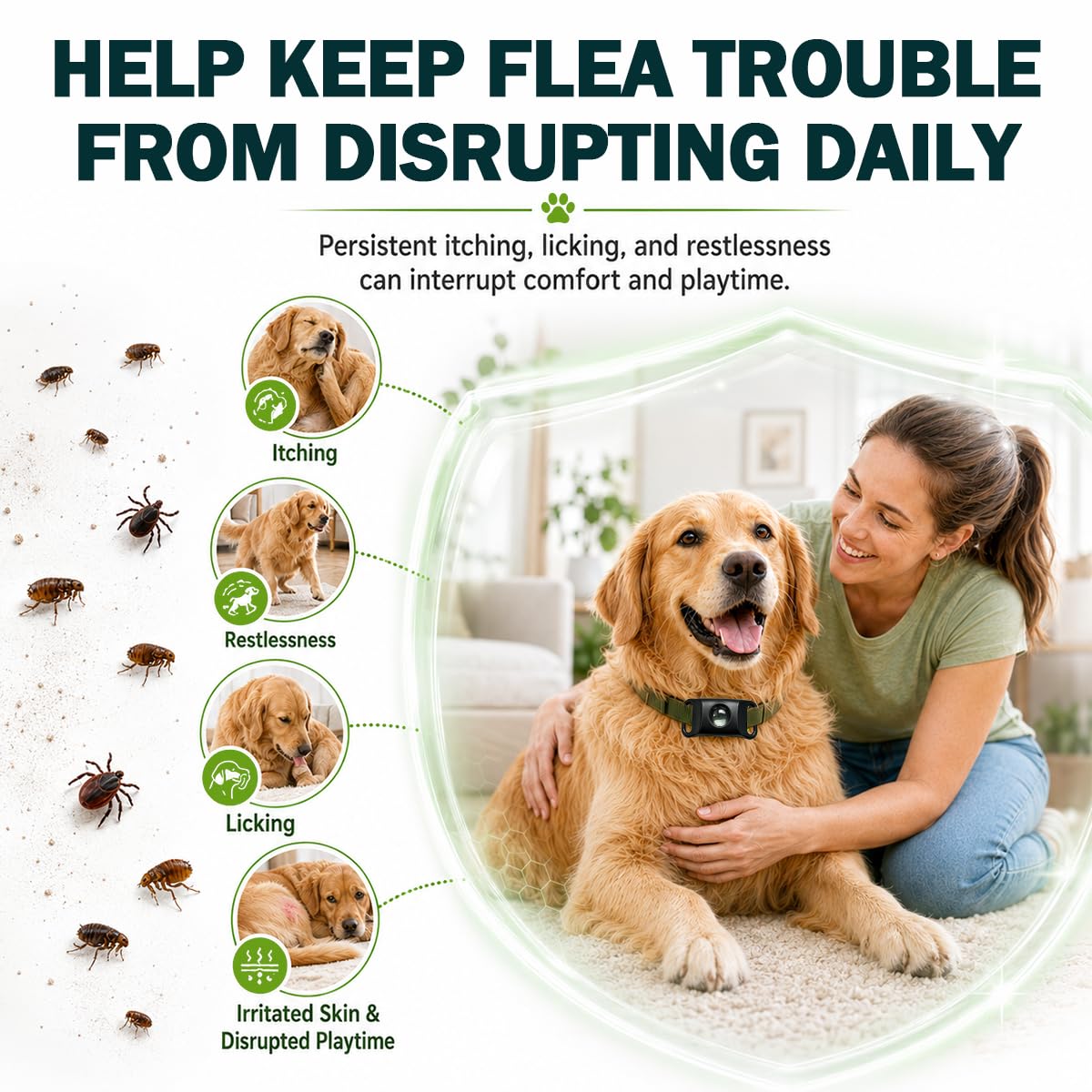Flea and Tick Prevention Pendant for Dogs K8513