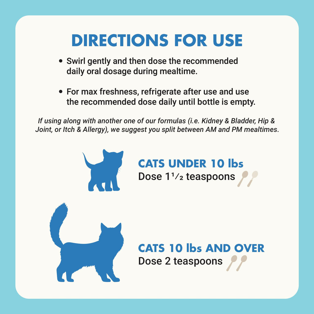 Cat Teeth Cleaning Dental Care N5652