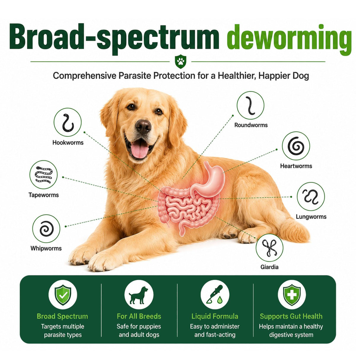 Liquid Broad Spectrum Dog Dewormer 120ml S859926