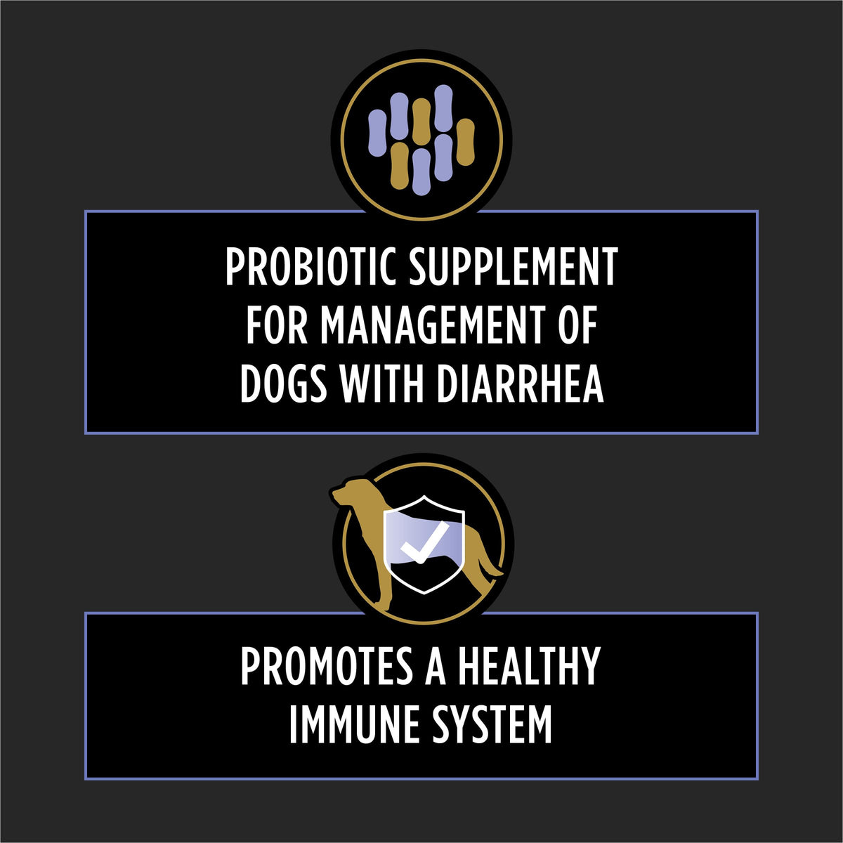 Probiotic Dog Tablets 45 Count G8903