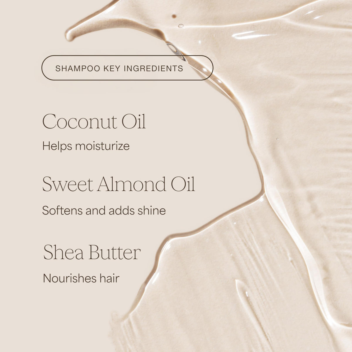 Shampoo and Conditioner Duo, 16 Fl Oz Each A767