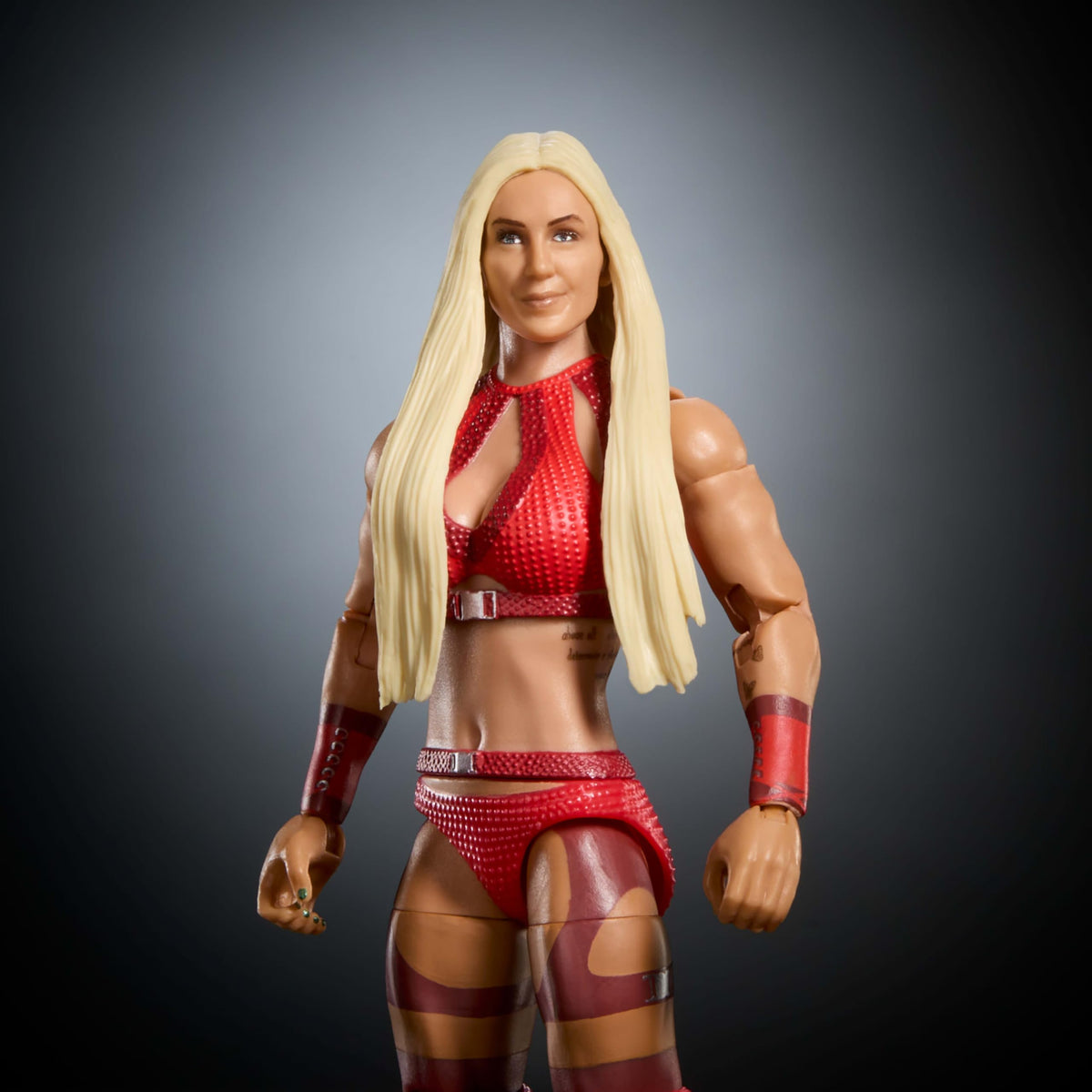 WWE Elite Collection Action Figure & Accessories Set P9923