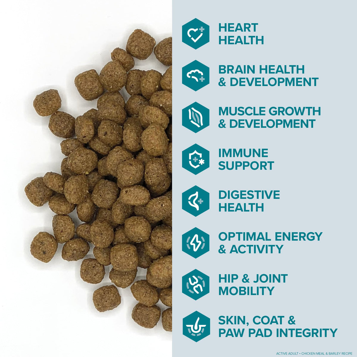 Active Dog Food Real Chicken & Barley 20 Pound Bag E7827