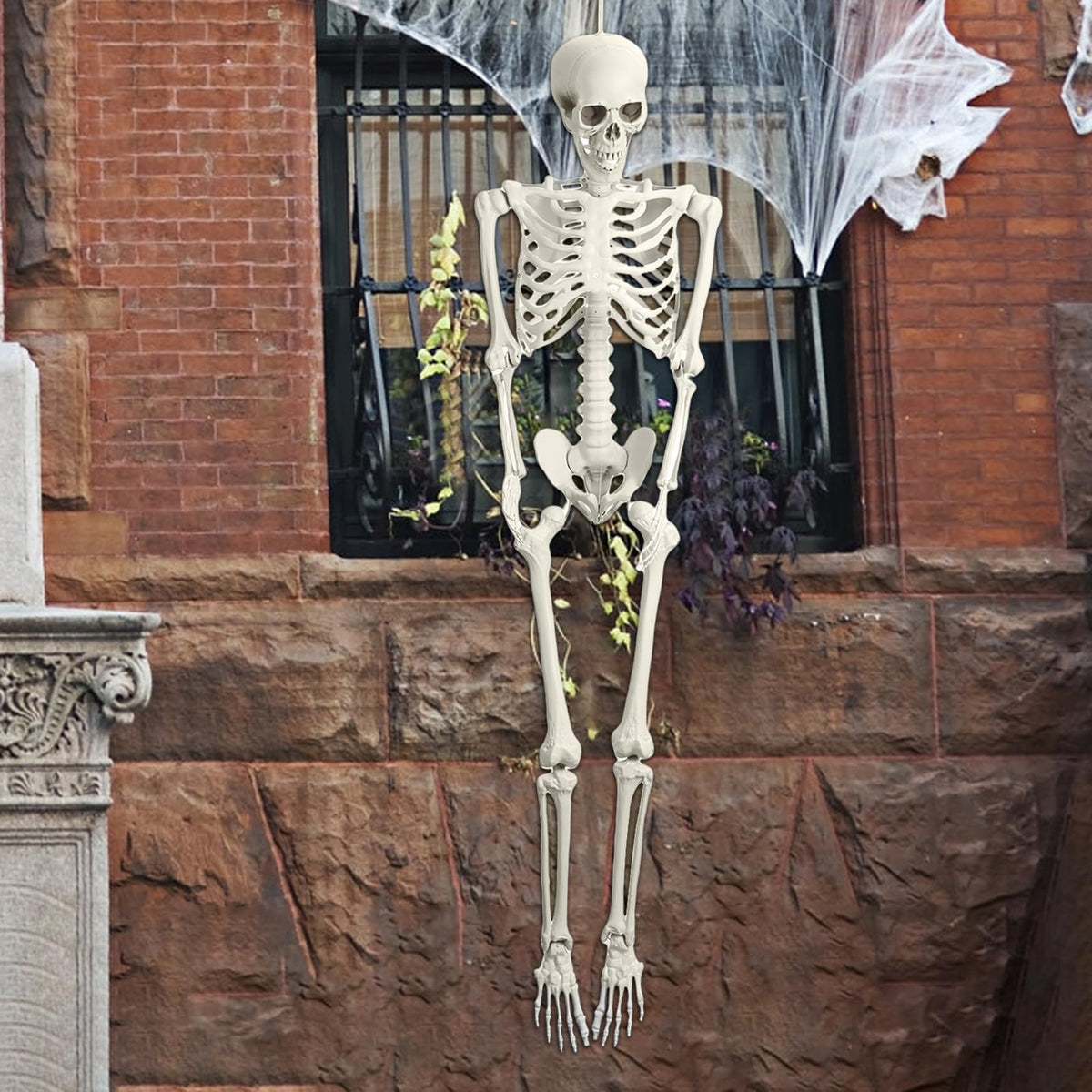 Life Size Poseable Skeleton J404