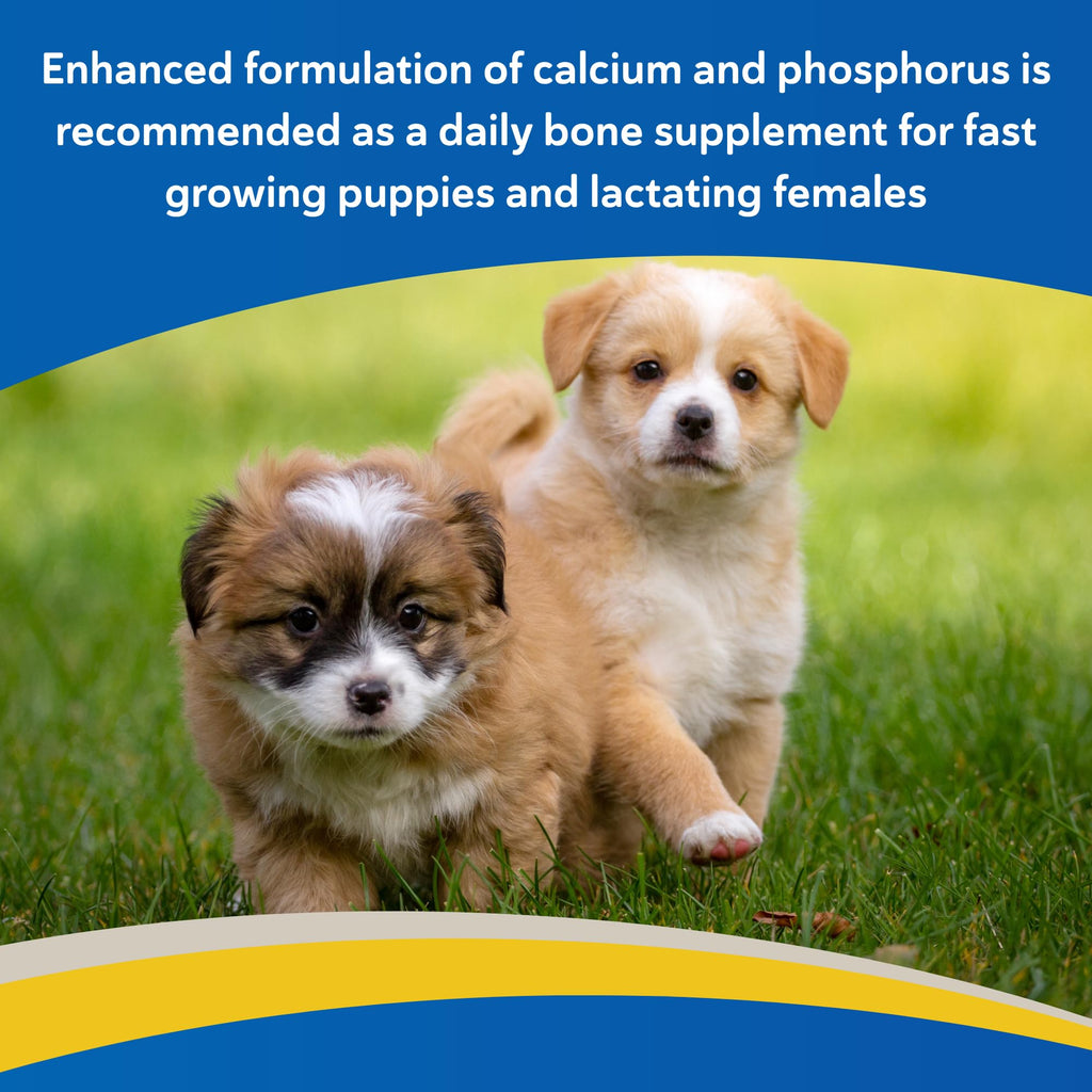 Calcium & Phosphorus Chews for Dogs & Cats, 100ct H1967