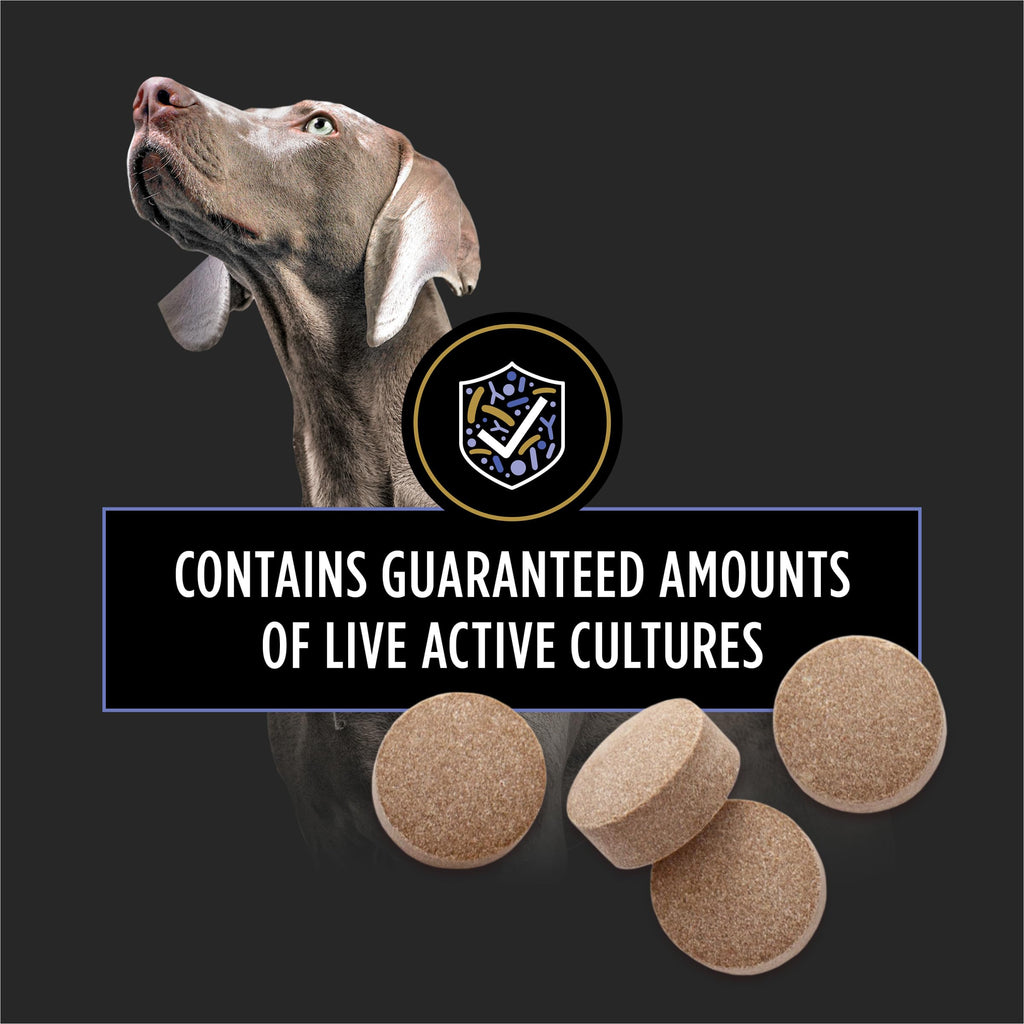 Probiotic Dog Tablets 45 Count G8903