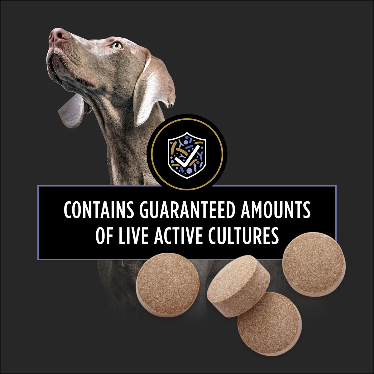 Probiotic Dog Tablets 45 Count G8903