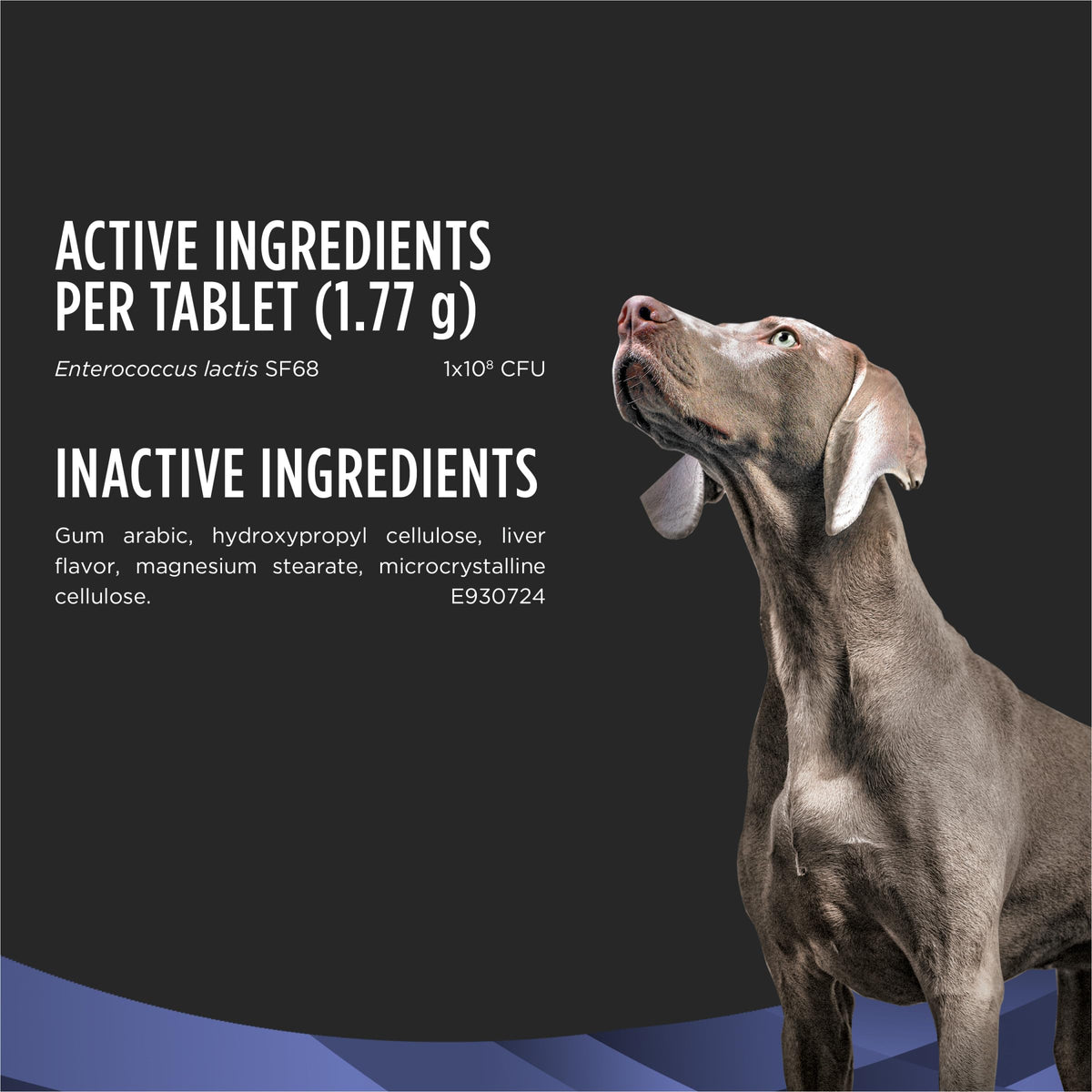 Probiotic Dog Tablets 45 Count G8903