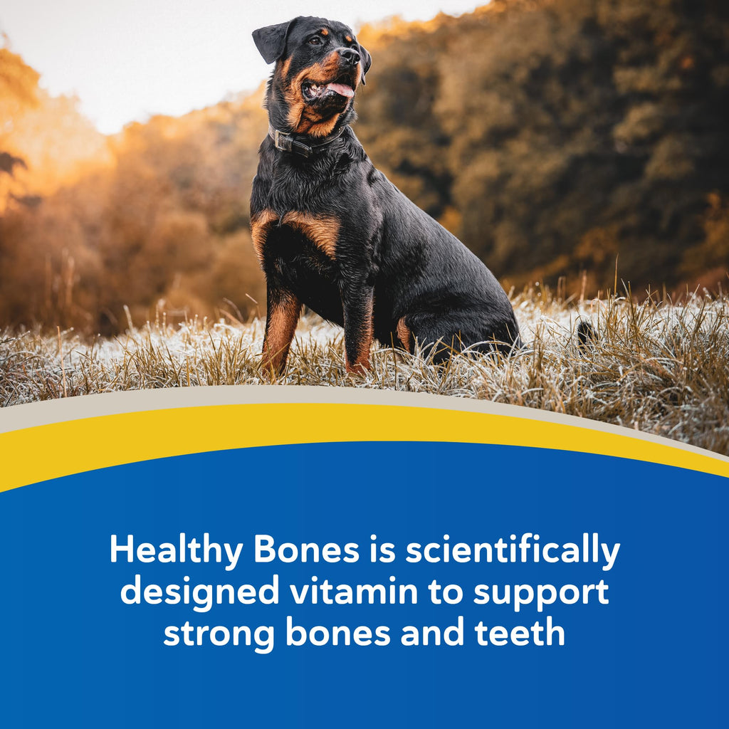 Calcium & Phosphorus Chews for Dogs & Cats, 100ct H1967