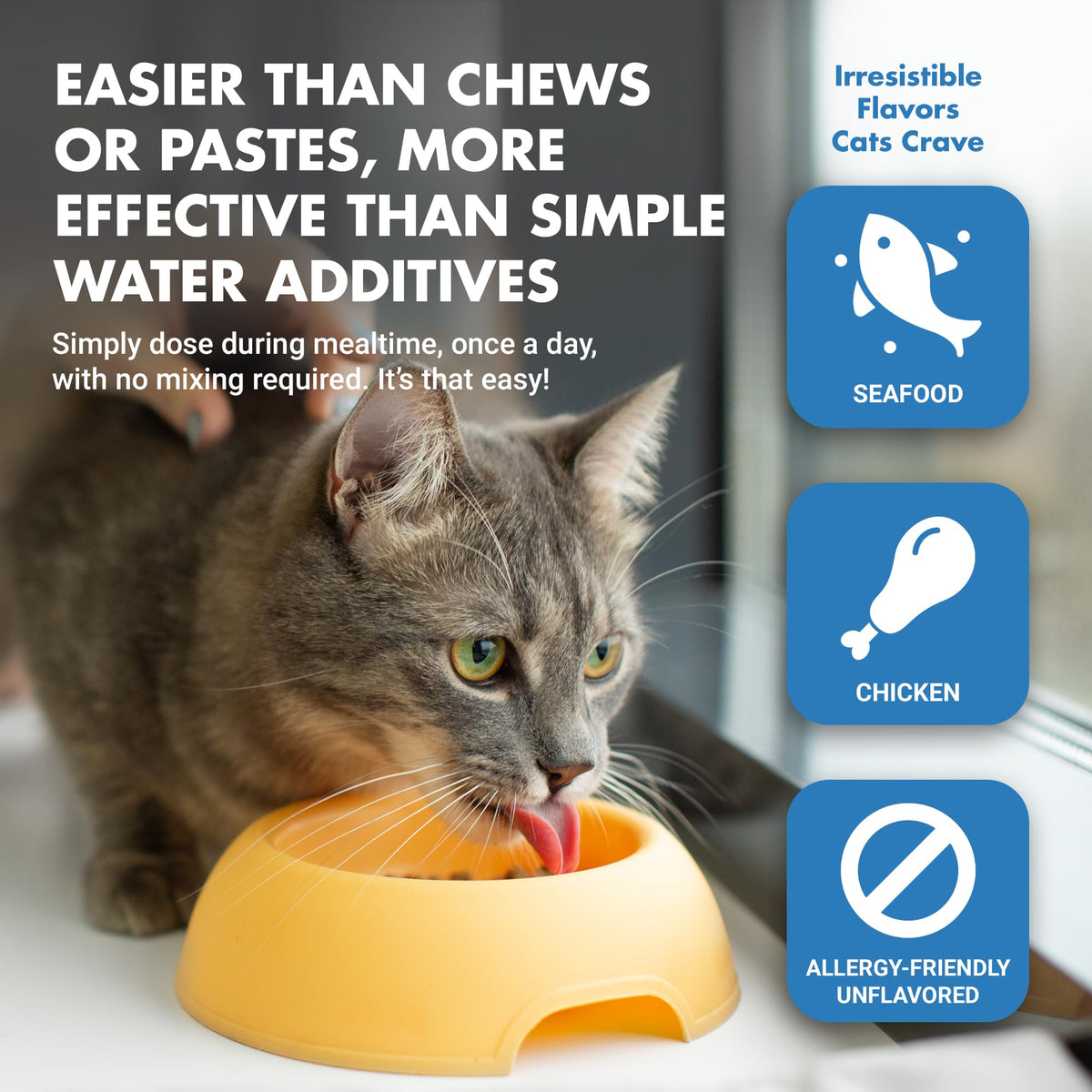 Cat Teeth Cleaning Dental Care N5652