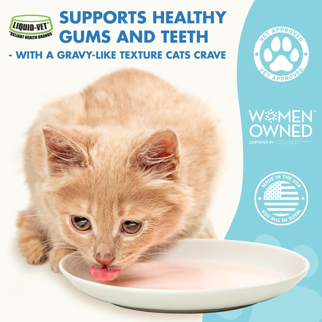 Cat Teeth Cleaning Dental Care N5652