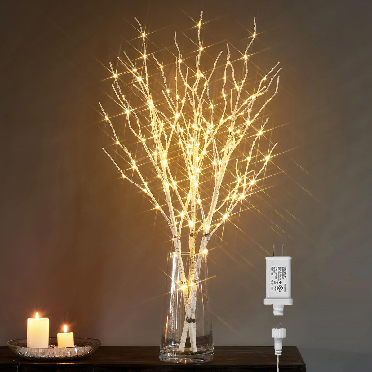 Lighted White Birch Twig Branches 30IN 150 LED with Timer and Dimmer Q3968